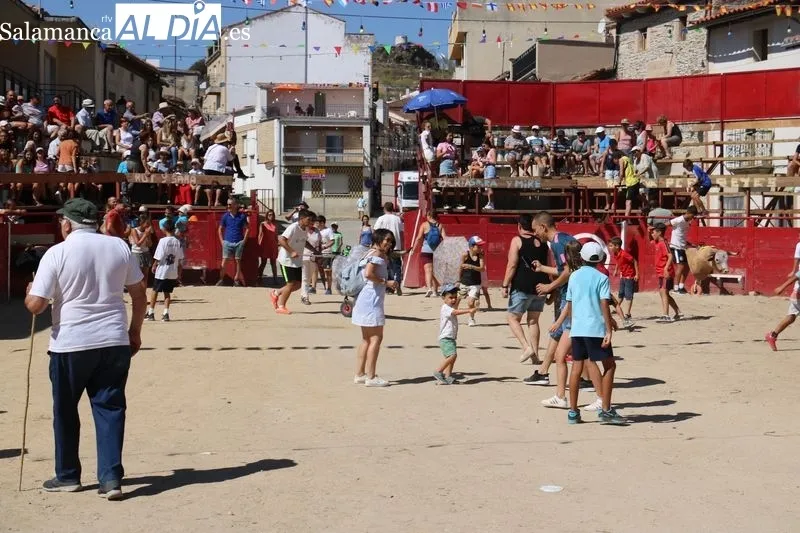 Bien presentados los novillos de Ignacio López Chaves en el primer encierro de las fiestas de Vilvestre / CORRAL 