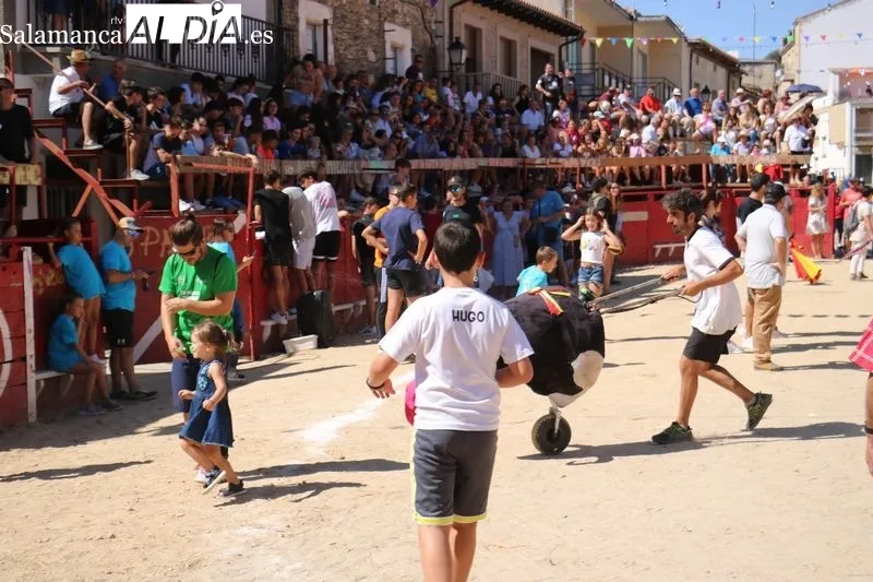 Bien presentados los novillos de Ignacio López Chaves en el primer encierro de las fiestas de Vilvestre / CORRAL 