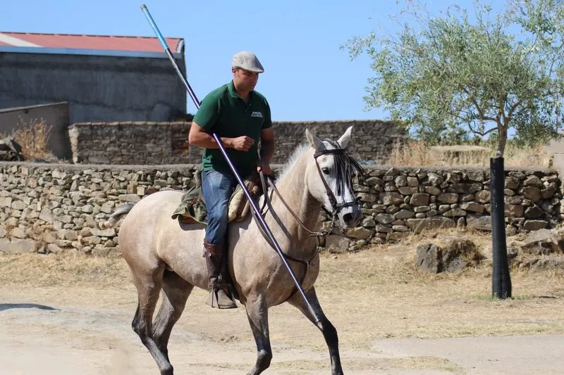 Foto 5 - Lumbrales despide las fiestas con un desigual encierro a caballo