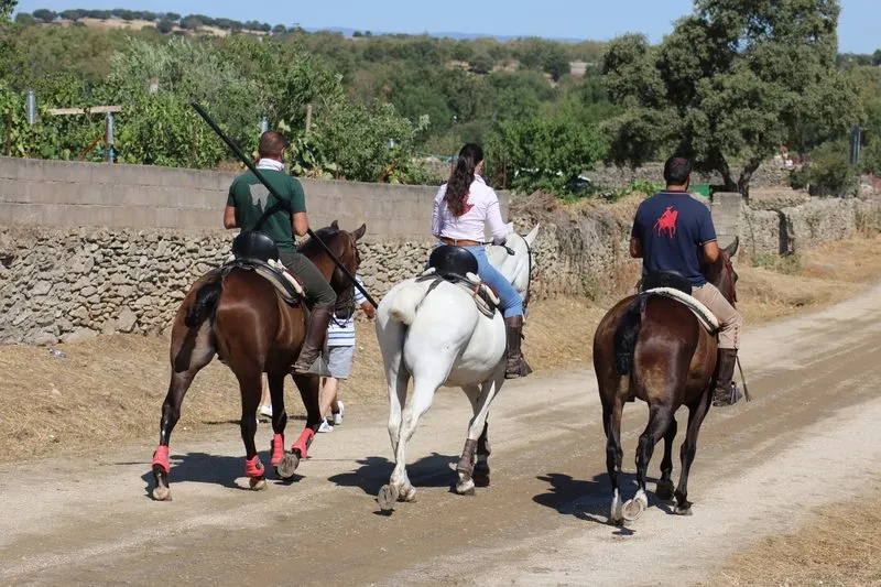 Foto 7 - Lumbrales despide las fiestas con un desigual encierro a caballo