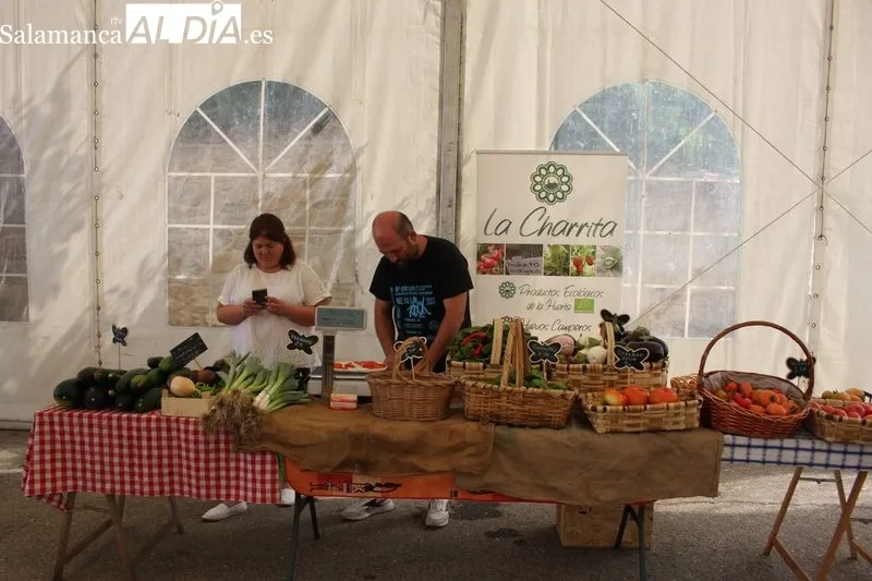 La Feria se desarrolla a lo largo de todo este sábado 20 de agosto con cerca de una treintena de expositores / SILVESTRE