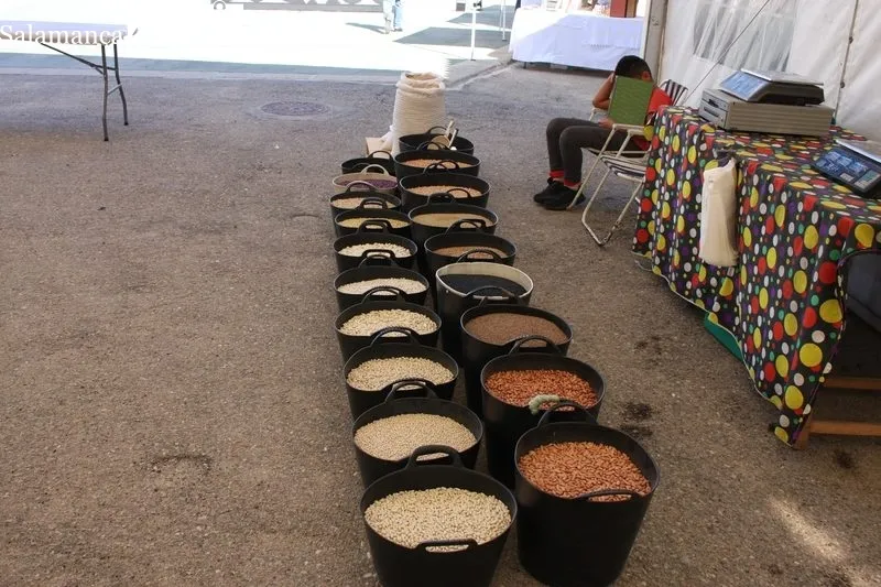 La Feria se desarrolla a lo largo de todo este sábado 20 de agosto con cerca de una treintena de expositores / SILVESTRE