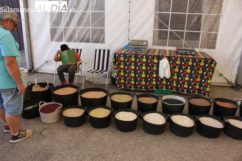 La Feria se desarrolla a lo largo de todo este sábado 20 de agosto con cerca de una treintena de expositores / SILVESTRE
