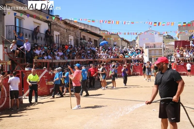 Segundo encierro de las fiestas de Vilvestre, festejo en el que se corrieron cuatro novillos de Hermanos Cañero / CORRAL 