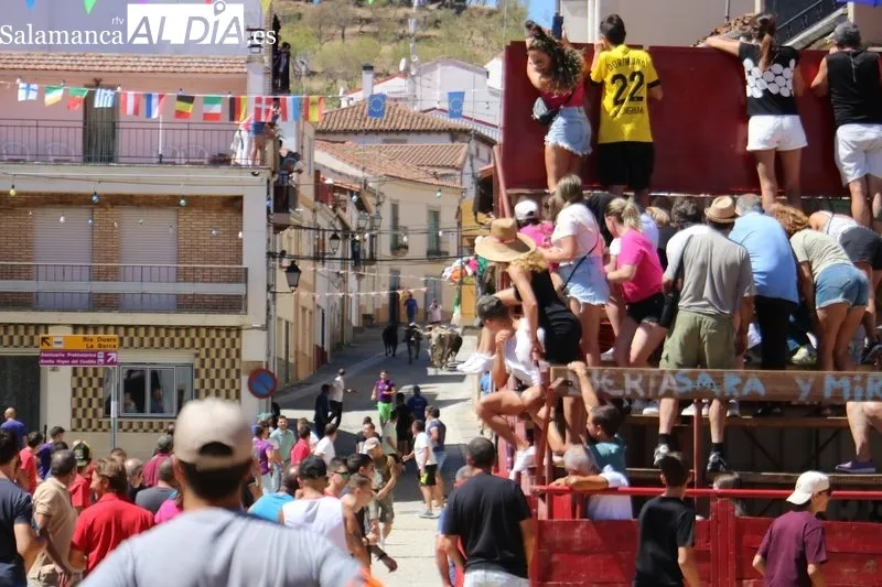 Segundo encierro de las fiestas de Vilvestre, festejo en el que se corrieron cuatro novillos de Hermanos Cañero / CORRAL 