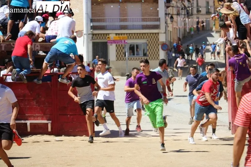 Segundo encierro de las fiestas de Vilvestre, festejo en el que se corrieron cuatro novillos de Hermanos Cañero / CORRAL 