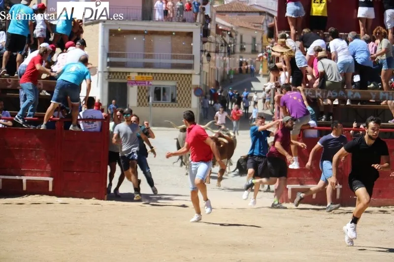 Segundo encierro de las fiestas de Vilvestre, festejo en el que se corrieron cuatro novillos de Hermanos Cañero / CORRAL 