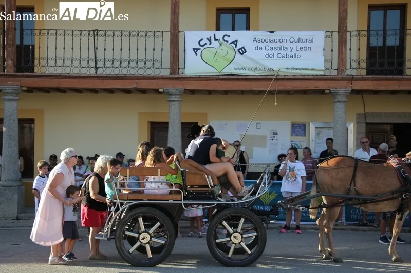 Romería Urbana en Bañobárez cortersía de la la Asociación de Castilla y León del Caballo 