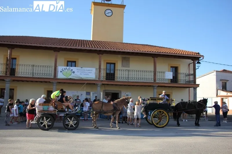 Romería Urbana en Bañobárez cortersía de la la Asociación de Castilla y León del Caballo 