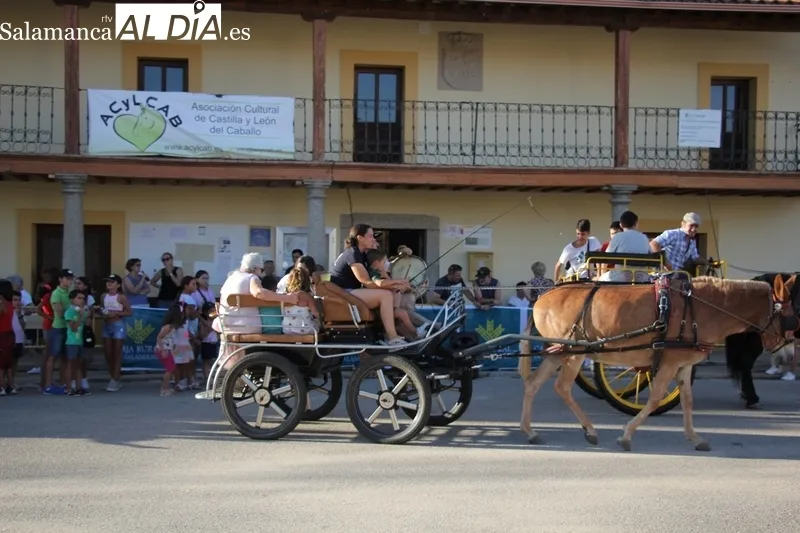 Romería Urbana en Bañobárez cortersía de la la Asociación de Castilla y León del Caballo 