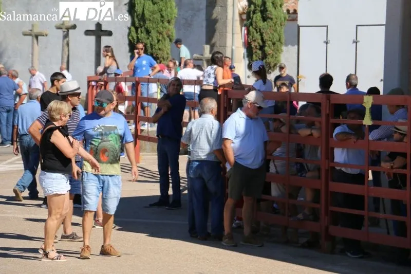 Accidentado encierro a caballo en Villavieja de Yeltes  / CORRAL