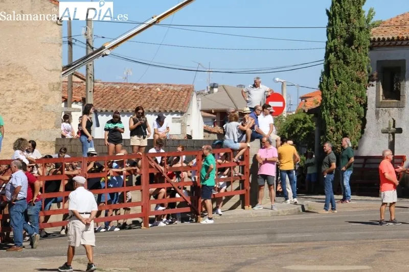 Accidentado encierro a caballo en Villavieja de Yeltes  / CORRAL