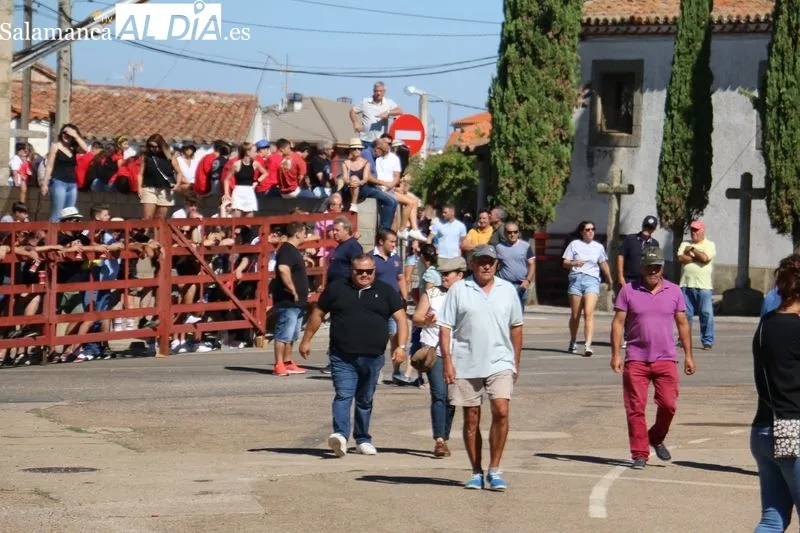 Accidentado encierro a caballo en Villavieja de Yeltes  / CORRAL