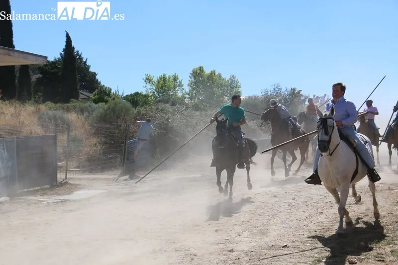 Accidentado encierro a caballo en Villavieja de Yeltes  / CORRAL