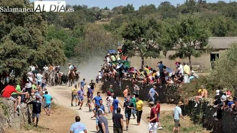 Foto 8 - Novillos y caballos vuelven a las calles de Lumbrales en el primer encierro de las fiestas del 2022
