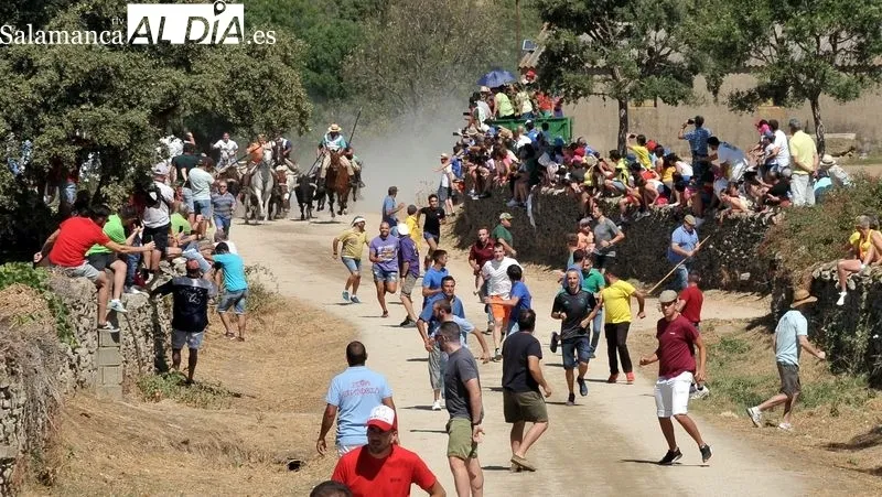 Foto 7 - Novillos y caballos vuelven a las calles de Lumbrales en el primer encierro de las fiestas del 2022
