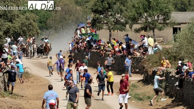 Foto 6 - Novillos y caballos vuelven a las calles de Lumbrales en el primer encierro de las fiestas del 2022