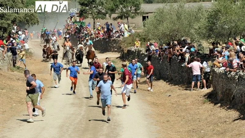 Foto 5 - Novillos y caballos vuelven a las calles de Lumbrales en el primer encierro de las fiestas del 2022
