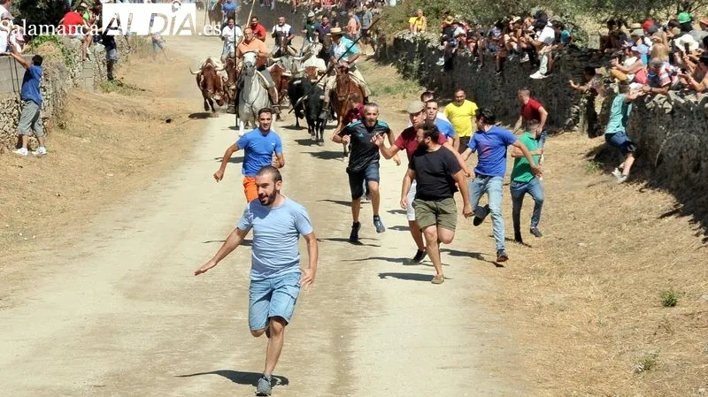 Foto 4 - Novillos y caballos vuelven a las calles de Lumbrales en el primer encierro de las fiestas del 2022