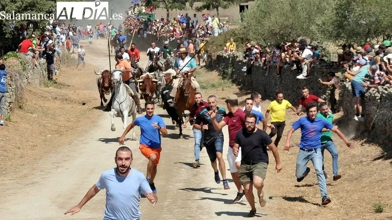 Foto 3 - Novillos y caballos vuelven a las calles de Lumbrales en el primer encierro de las fiestas del 2022