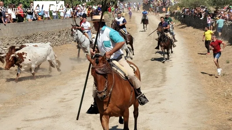 Foto 2 - Novillos y caballos vuelven a las calles de Lumbrales en el primer encierro de las fiestas del 2022