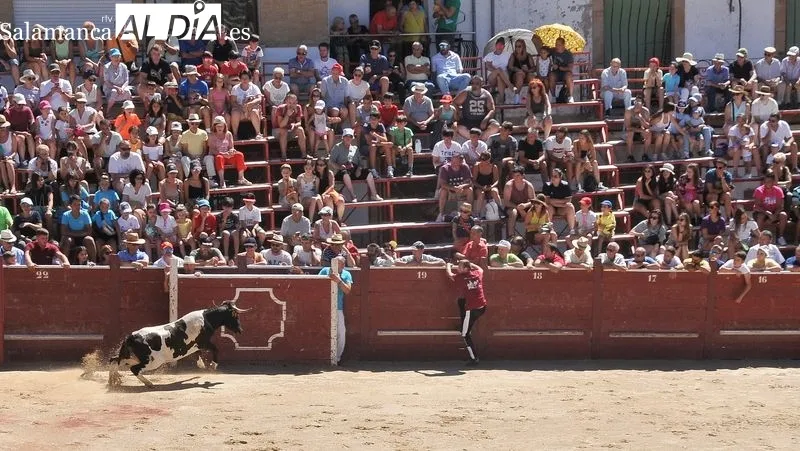 El segundo encierro a caballo ha sido rápido y limpio