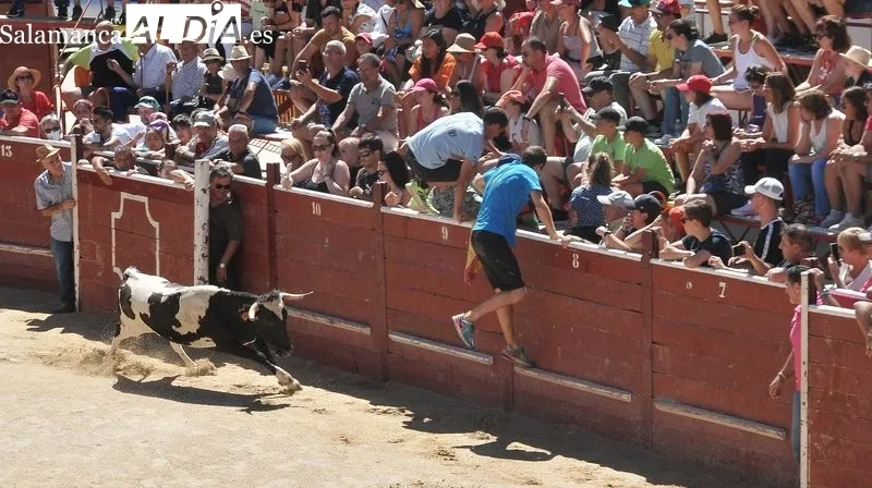 El segundo encierro a caballo ha sido rápido y limpio