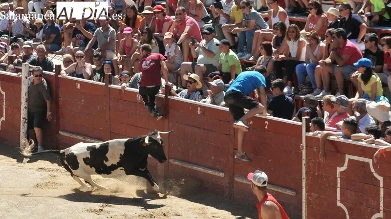 El segundo encierro a caballo ha sido rápido y limpio