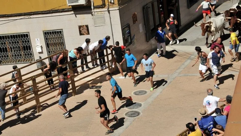 Foto 5 - Complicado encierro de los novillos de Galache en el tercer festejo de Lumbrales