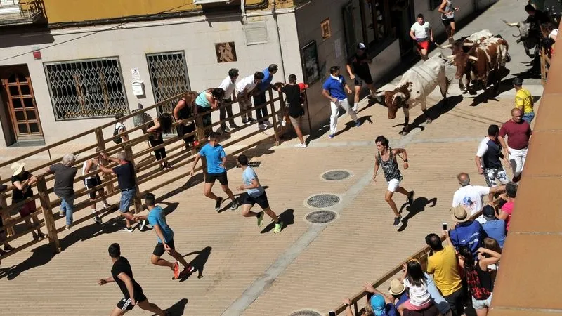 Foto 4 - Complicado encierro de los novillos de Galache en el tercer festejo de Lumbrales
