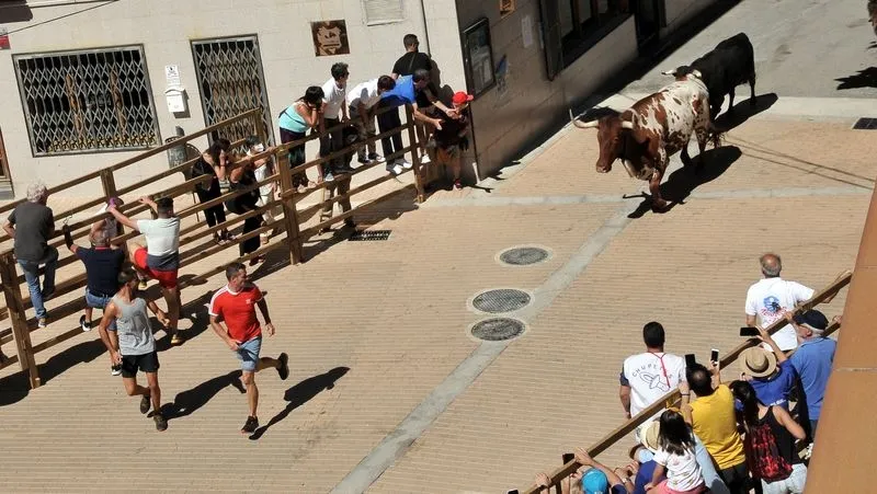 Foto 3 - Complicado encierro de los novillos de Galache en el tercer festejo de Lumbrales