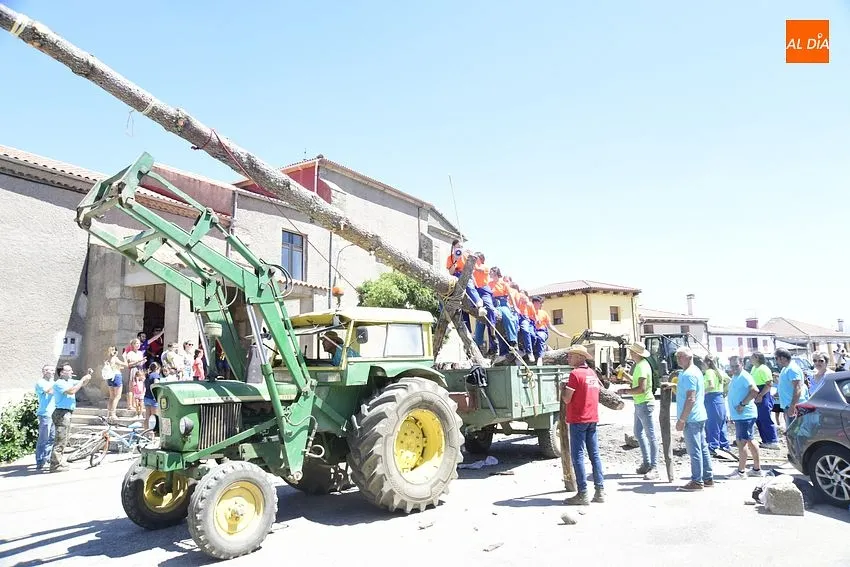 Foto 4 - El Sahugo iza el pino al estilo tradicional en honor a San Cayetano