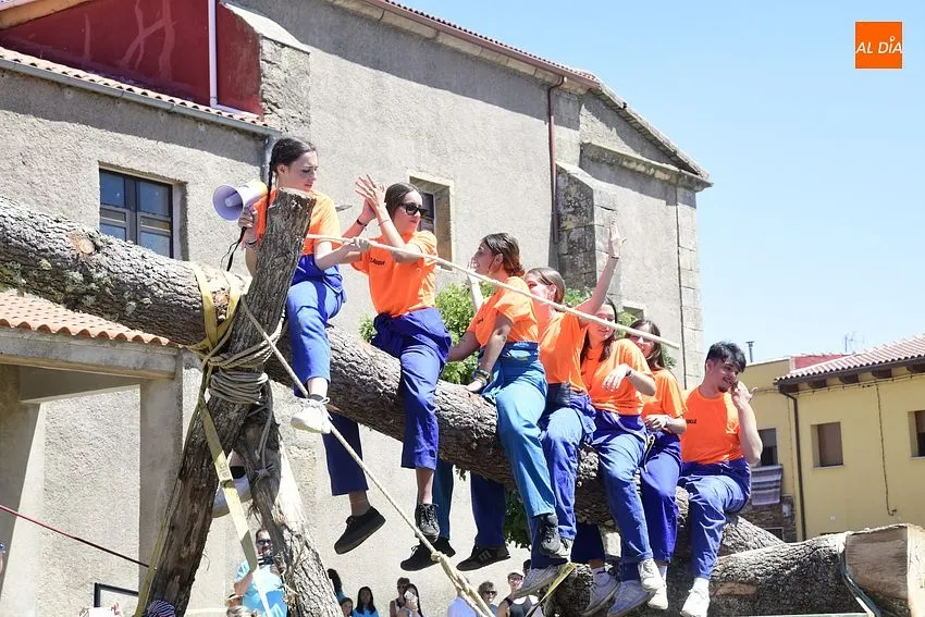 Foto 5 - El Sahugo iza el pino al estilo tradicional en honor a San Cayetano