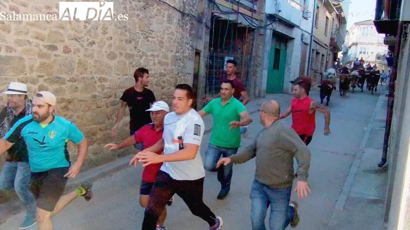Encierro de Domingo López Chaves en Aldeadávila, primero de las fiestas / CORRAL 