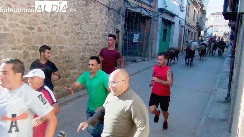 Encierro de Domingo López Chaves en Aldeadávila, primero de las fiestas / CORRAL 