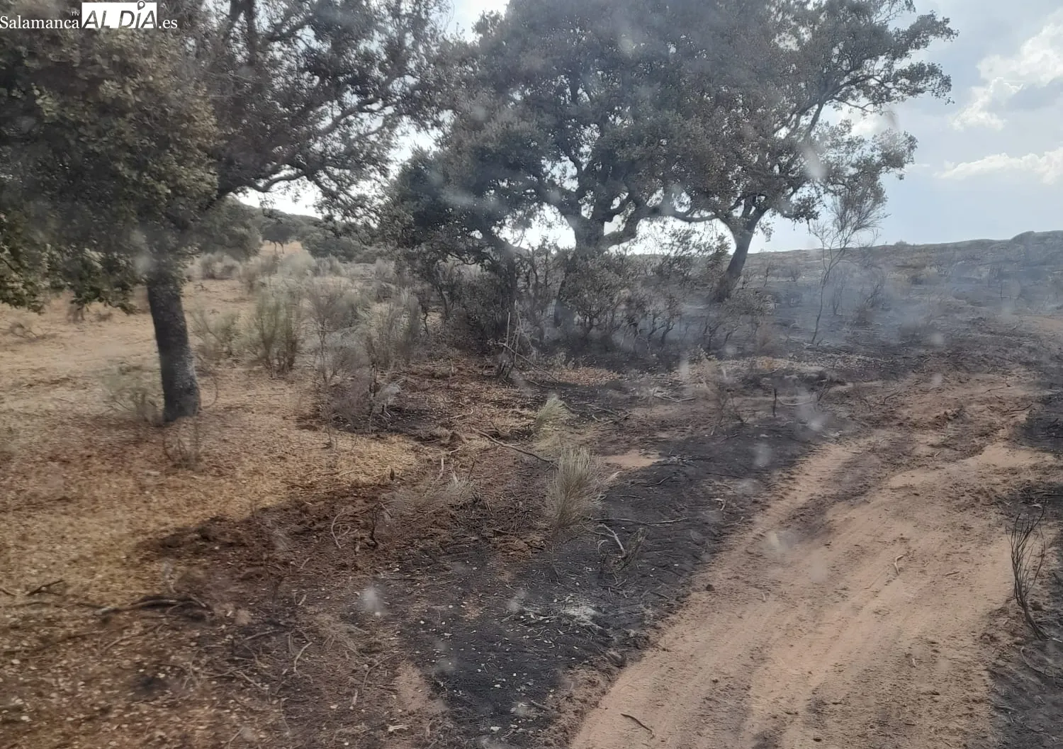 Los Bomberos de Vitigudino permanecían en el fuego ya con la noche metida  