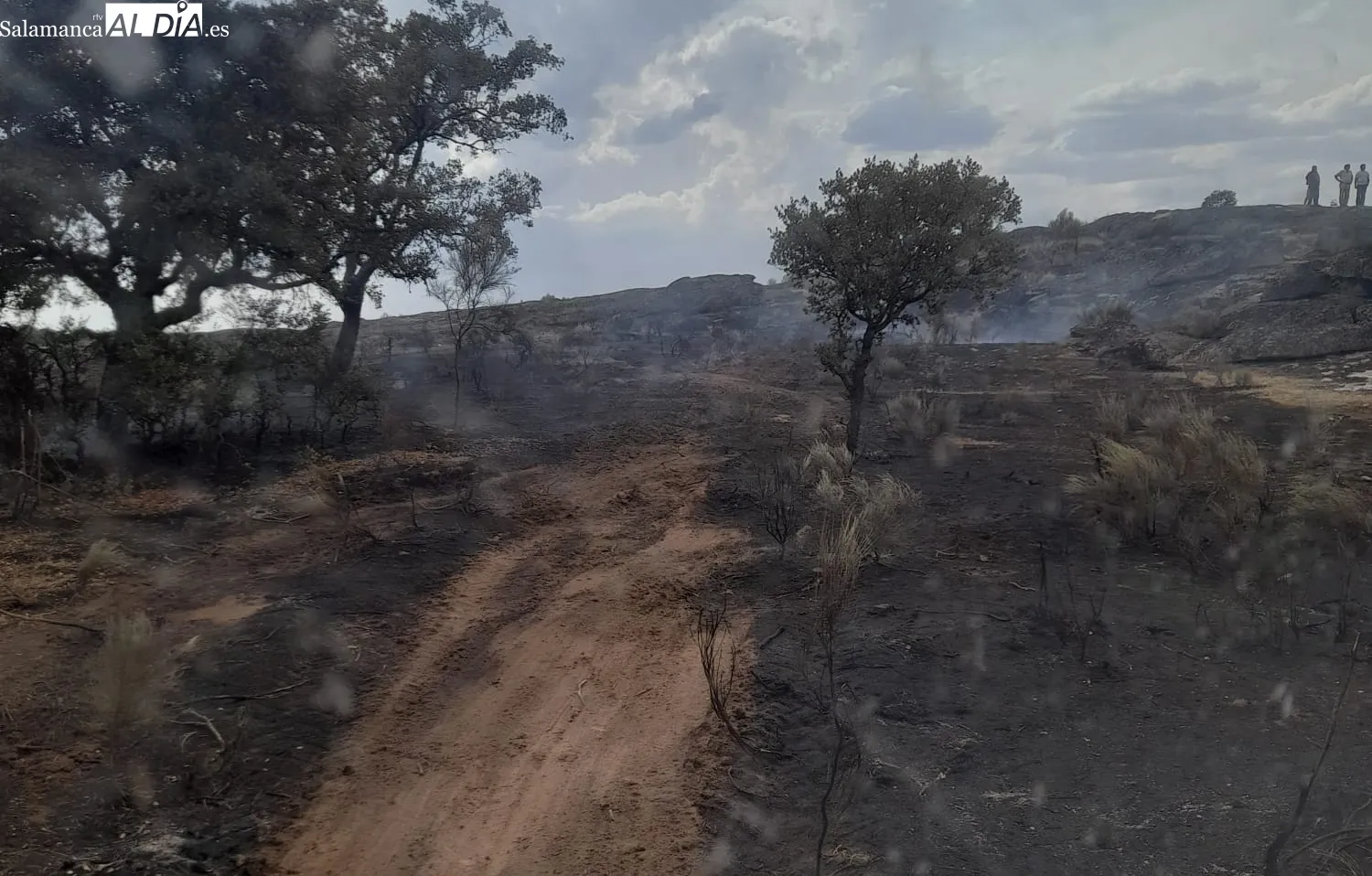Los Bomberos de Vitigudino permanecían en el fuego ya con la noche metida  