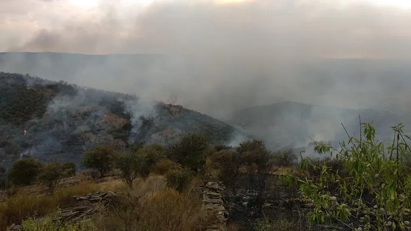 Foto 2 - Peligroso incendio en la finca de Valicobo en La Fregeneda