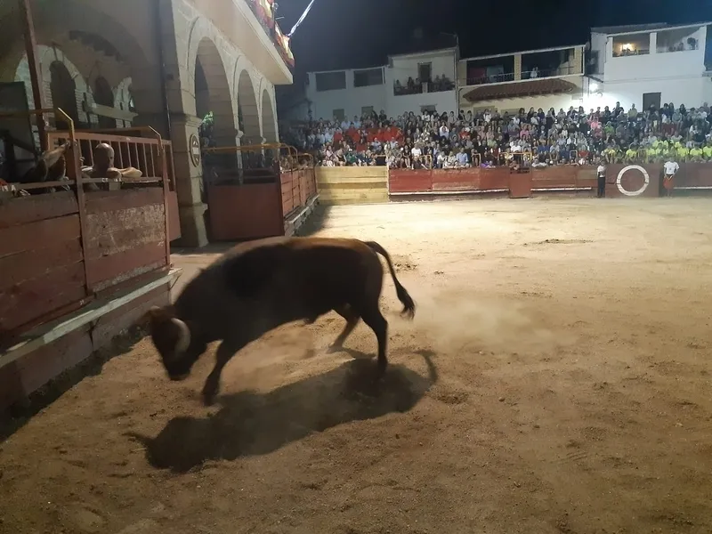 Festejo de recortes por Talento Castellano la pasada noche en Villarino de los Aires