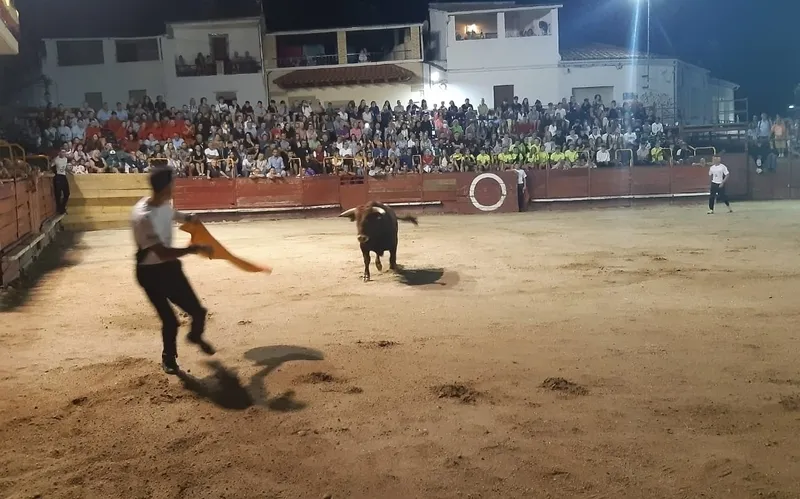 Festejo de recortes por Talento Castellano la pasada noche en Villarino de los Aires
