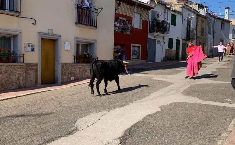 Toro de Cajón en Villarino de los Aires