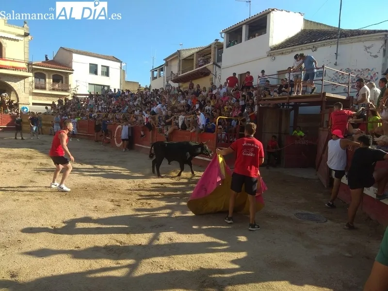 Foto 3 - El Toro de Caj&oacute;n llena de emoci&oacute;n  las calles de Villarino