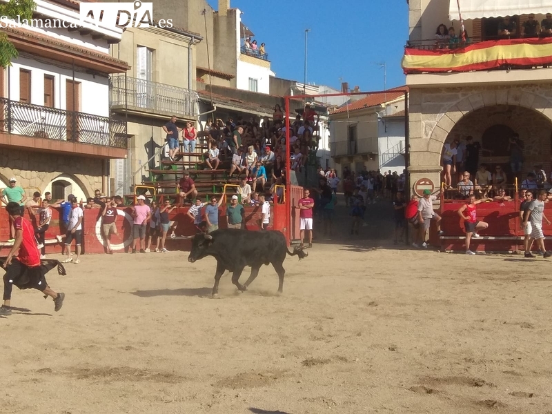 Foto 4 - El Toro de Cajón llena de emoción  las calles de Villarino