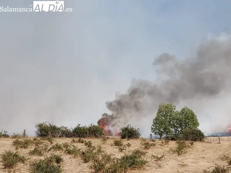 En el incendio declarado en Fuenteliante actúan varios helicópteros  