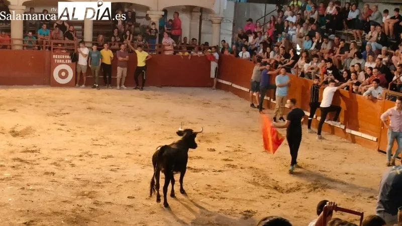 Momentos de la capea nocturna celebrada la pasada noche en Villavieja de Yeltes / ANA MATEOS