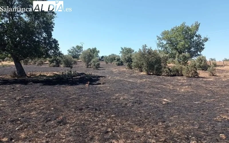 Imágenes del incendio que se producía en Villar de Samaniego y que controlaban Bomberos de Vitigudino 