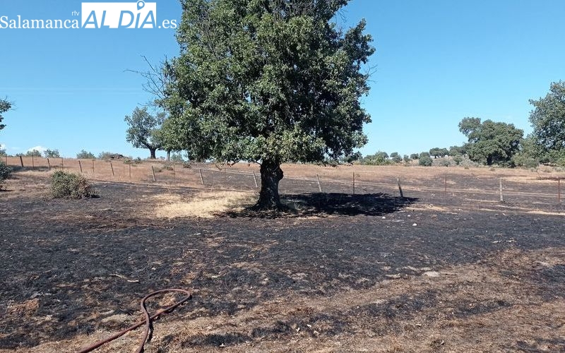Imágenes del incendio que se producía en Villar de Samaniego y que controlaban Bomberos de Vitigudino 