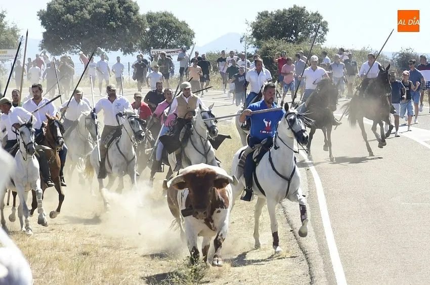 Foto 2 - R&aacute;pido y limpio encierro, con a&uacute;n m&aacute;s p&uacute;blico, en la jornada m&aacute;s taurina de las fiestas