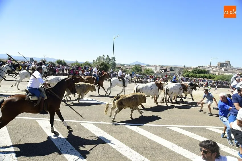 Foto 7 - R&aacute;pido y limpio encierro, con a&uacute;n m&aacute;s p&uacute;blico, en la jornada m&aacute;s taurina de las fiestas