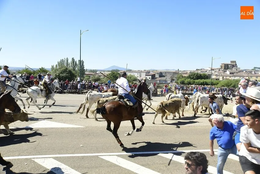 Foto 8 - R&aacute;pido y limpio encierro, con a&uacute;n m&aacute;s p&uacute;blico, en la jornada m&aacute;s taurina de las fiestas